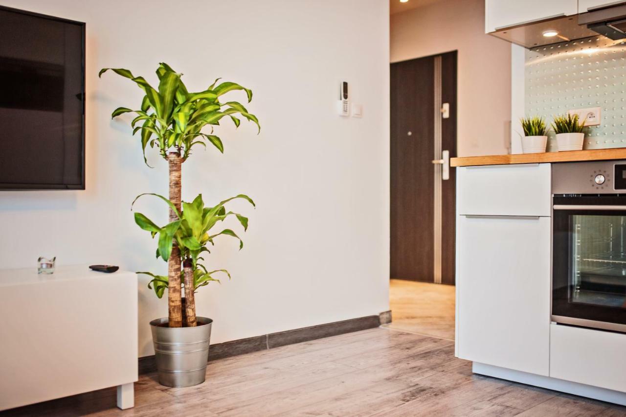 Good Time Apartments Strzelecka B Познан Екстериор снимка